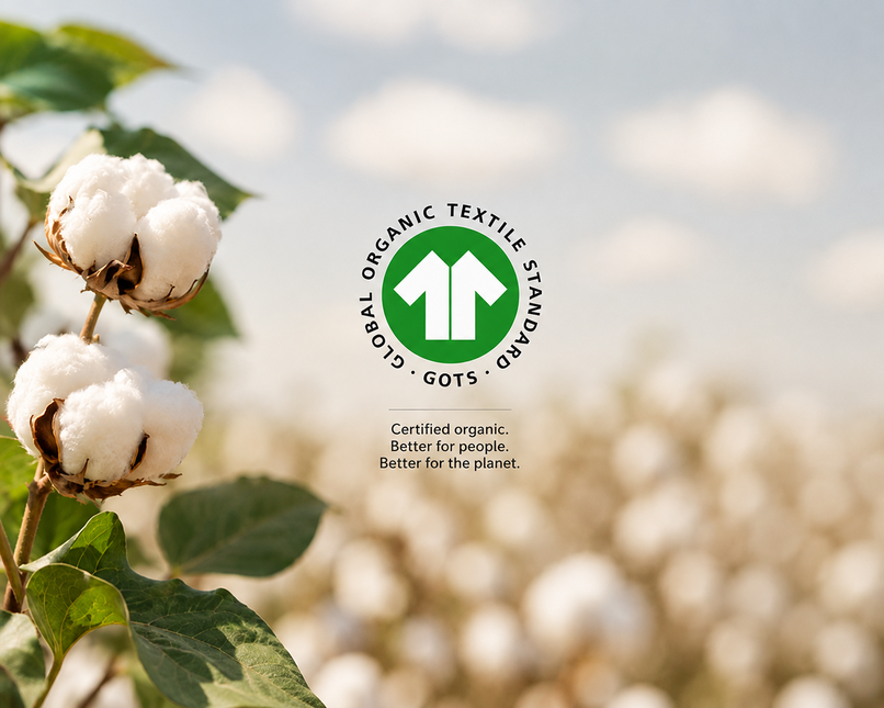 Turkish cotton fields - organic farming