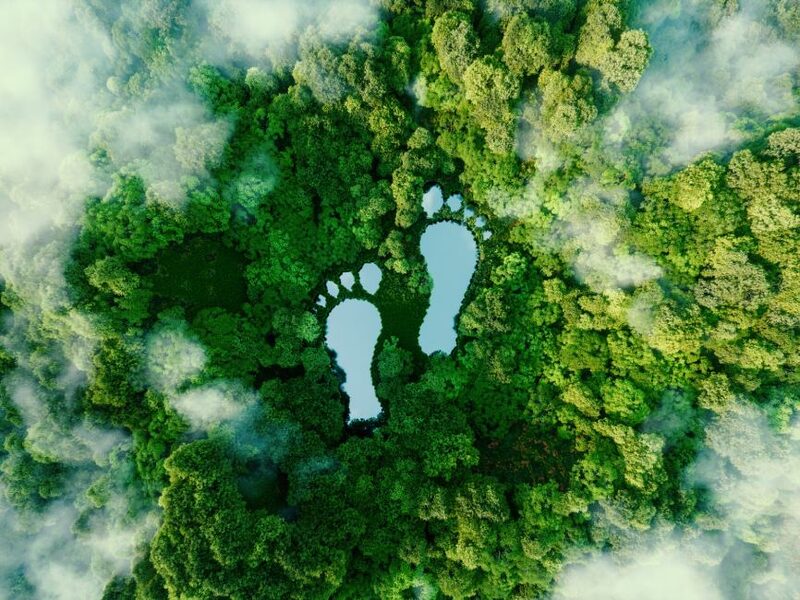 Bathroom Rituals to Reduce Carbon Footprint