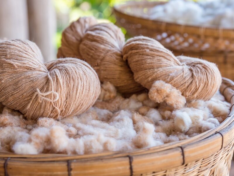 What Is Organic Cotton? Benefits for You and the Planet